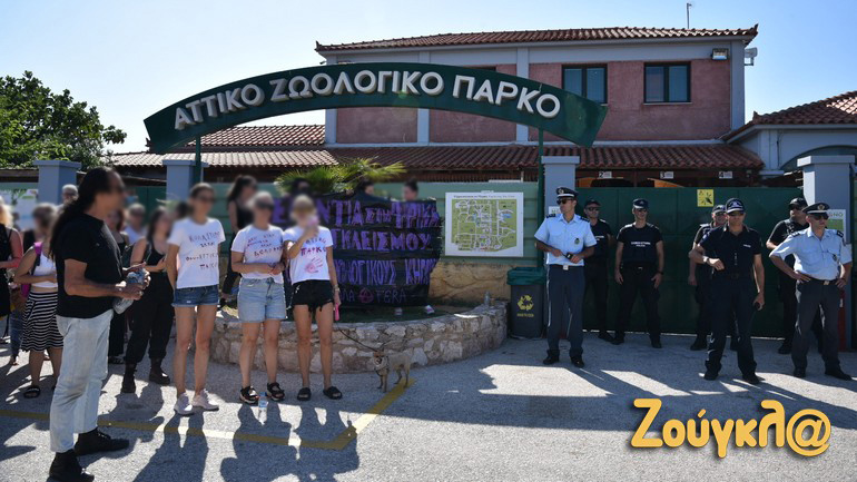 Αττικό Ζωολογικό Πάρκο: Συγκέντρωση διαμαρτυρίας για τη θανάτωση του χιμπατζή