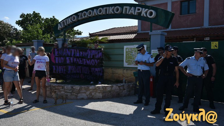 Αττικό Ζωολογικό Πάρκο: Στο «μικροσκόπιο» των εμπειρογνωμόνων έγγραφα και χώροι όπου διαβιούν άγρια ζώα