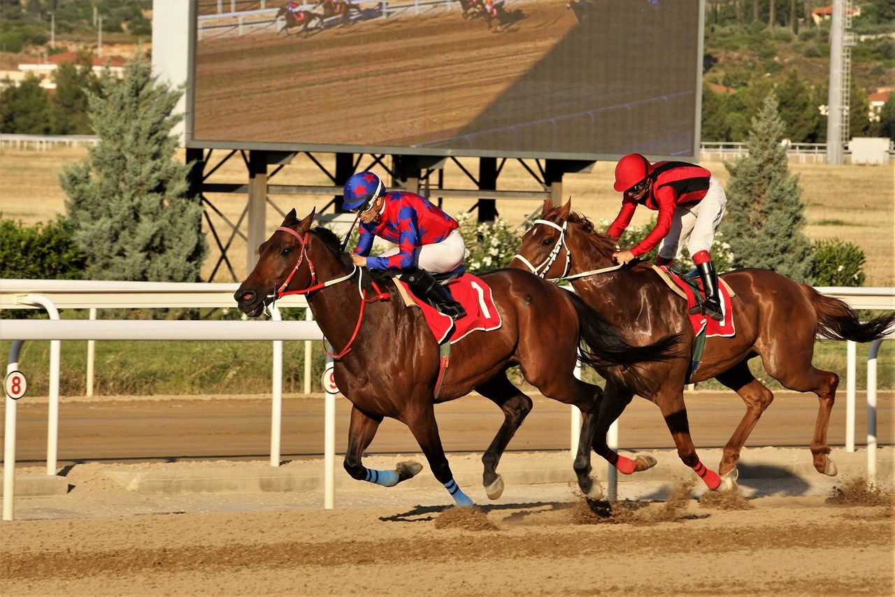 Δράση και αυτή τη Δευτέρα στο Markopoulo Park