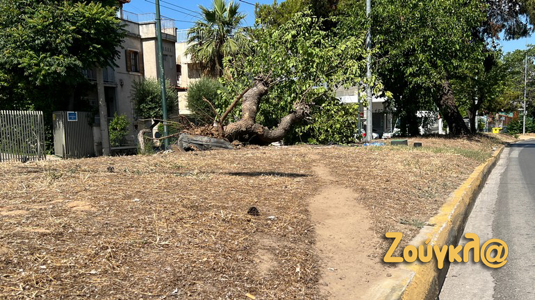 Μία σύλληψη για το σοκαριστικό τροχαίο στο Χαλάνδρι – Εμπλοκή του δεύτερου ΙΧ «βλέπει» η Τροχαία