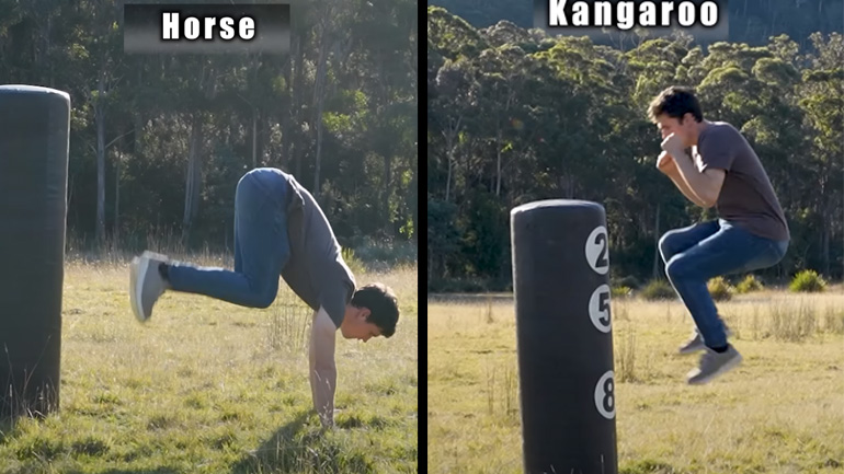 Πώς επιτίθενται μερικά ζώα