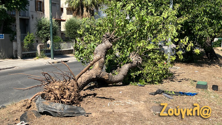 Χαλάνδρι: Νεκρός 18χρονος οδηγός ΙΧ σε τροχαίο – Έχασε τον έλεγχο και «καρφώθηκε» σε δέντρο