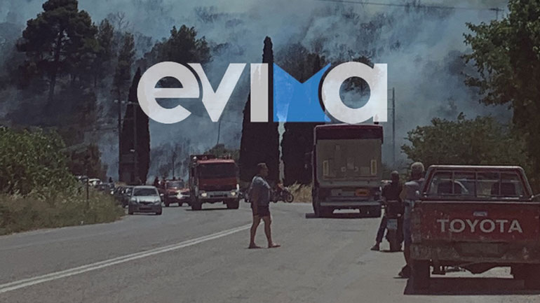 Υπό μερικό έλεγχο η φωτιά στο Αλιβέρι Ευβοίας – Έκλεισε ο δρόμος