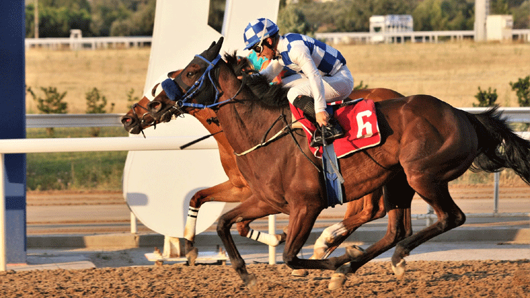 Markopoulo Park: Μεγάλα κέρδη για 22 νικητές στο ΣΚΟΡ 6