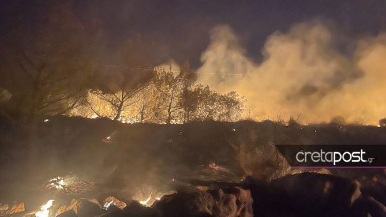 Κρήτη: Στάχτη 7 στρέμματα δάσους στην Κέρη Κρήτη: Στάχτη 7 στρέμματα δάσους στην Κέρη