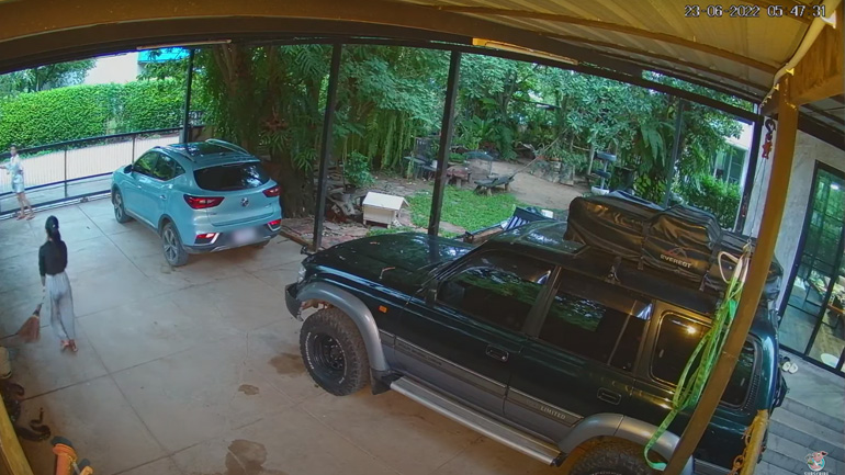 Πύθωνας επισκέπτεται ένα σπίτι