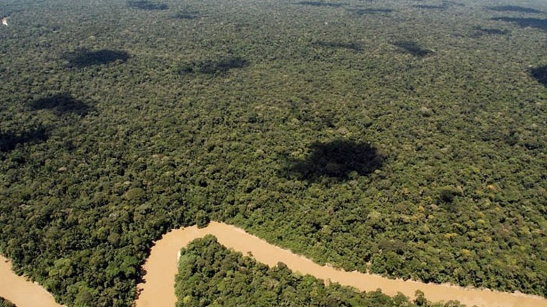 Βραζιλία: Η αποψίλωση του δάσους του Αμαζονίου έσπασε ρεκόρ το πρώτο εξάμηνο