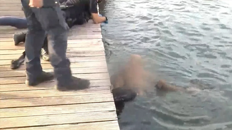 Στον εισαγγελέα αύριο ο 22χρονος που βούτηξε δεμένος με χειροπέδες στον Θερμαϊκό Στον εισαγγελέα αύριο ο 22χρονος που βούτηξε δεμένος με χειροπέδες στον Θερμαϊκό