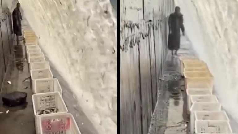 Ψαρεύοντας κάτω από έναν καταρράκτη