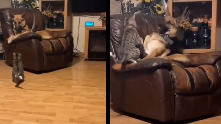 Μάχη για την πολυθρόνα