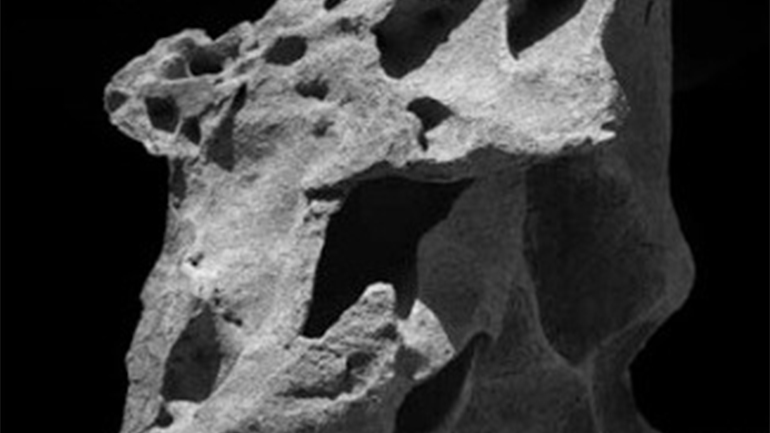 Ο Στράτης Ελισσαίος εκθέτει το φωτογραφικό του «Lithi-ον» στην Τήνο