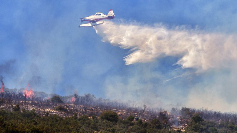 Πυρκαγιά σε δασική έκταση στη Ροδιά Ηλείας