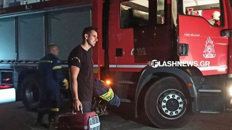 Χανιά: Επιχείρηση της πυροσβεστικής για τη διάσωση γάτας σε ρέμα