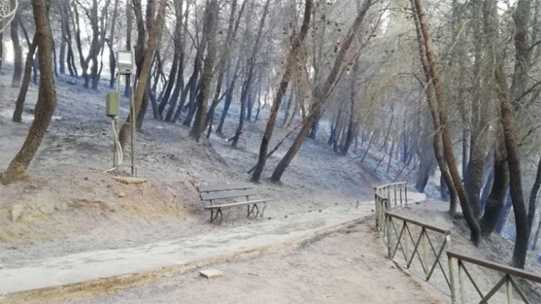 Μυκηναϊκό νεκροταφείο στις Πόρτες Αχαΐας: Τι απαντά το ΥΠΠΟΑ για την πυρκαγιά της 3ης Ιουλίου