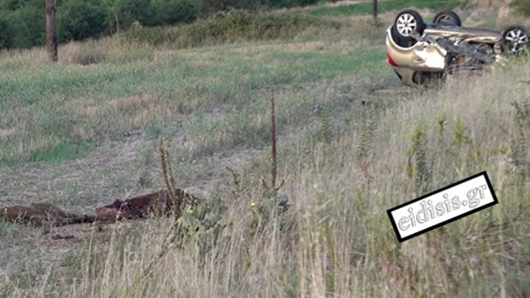 Κιλκίς: Δύο νεκροί και τέσσερις τραυματίες σε τροχαίο με εμπλοκή τριών αυτοκινήτων και μιας αγέλης αγριογούρουνων