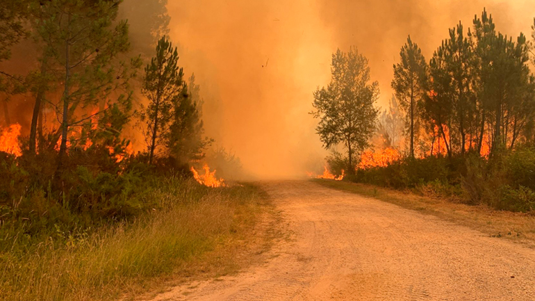 Μεγάλες δασικές πυρκαγιές σε Πορτογαλία, Ισπανία και Γαλλία, εν μέσω ακραίου καύσωνα