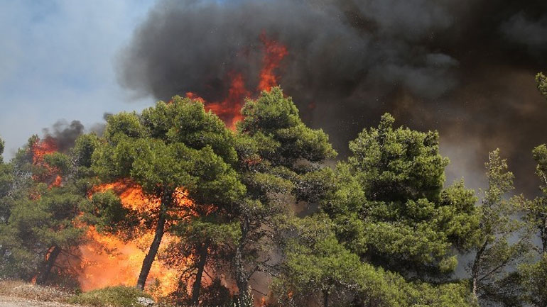 Πολύ υψηλός κίνδυνος πυρκαγιάς το Σάββατο για πέντε περιφέρειες