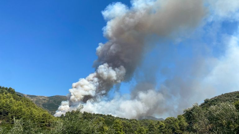 Πάτρα: Ισχυρές πυροσβεστικές δυνάμεις επιχειρούν στο μέτωπο της φωτιάς στην περιοχή Καλλιθέα