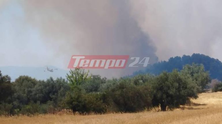 Καλλιθέα Πάτρας: «Μάχη» για να περιορίσουν τη φωτιά – Ενισχύθηκαν επίγειες δυνάμεις και εναέρια μέσα