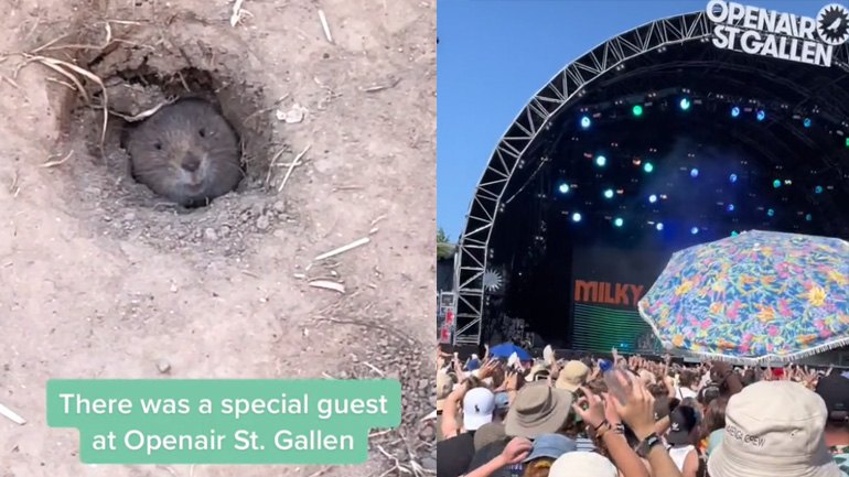 Καλεσμένος έκπληξη σε φεστιβάλ της Ελβετίας