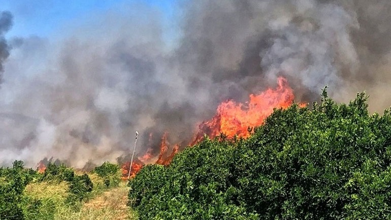 Υψηλός κίνδυνος εκδήλωσης πυρκαγιάς στον Έβρο και τη Σαμοθράκη σήμερα