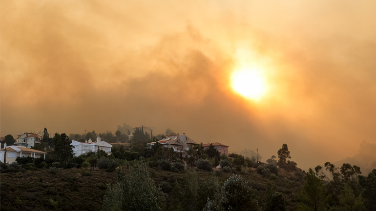 Η Λουκίλα Καρέρ καταγγέλλει πως ενώ είχε ξεσπάσει η μεγάλη πυρκαγιά, στο 199 της Πυροσβεστικής απαντούσε ρομπότ