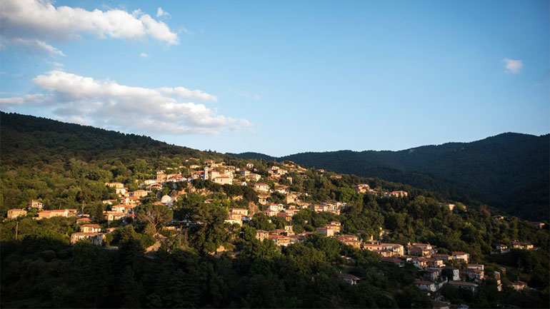 Καλοκαίρι στη Βαμβακού Λακωνίας: Εκδηλώσεις και ξεγνοιασιά στον Πάρνωνα