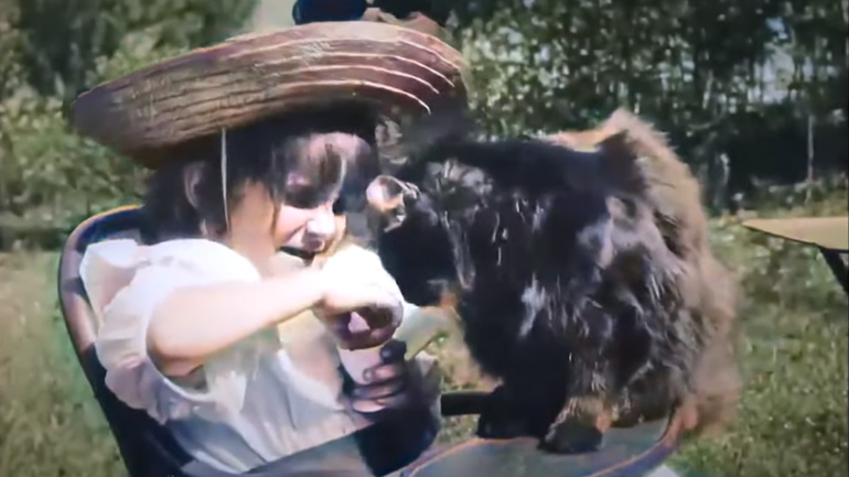 Το πρώτο βίντεο που τραβήχτηκε με μια γάτα