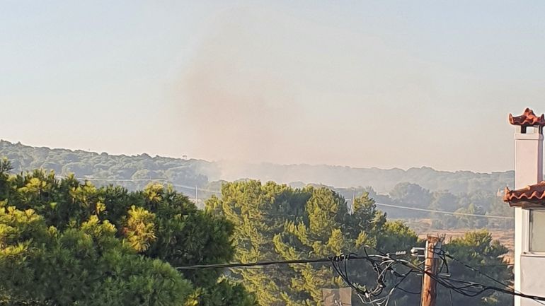 Πυρκαγιά σε χορτολιβαδική έκταση στη Ραφήνα