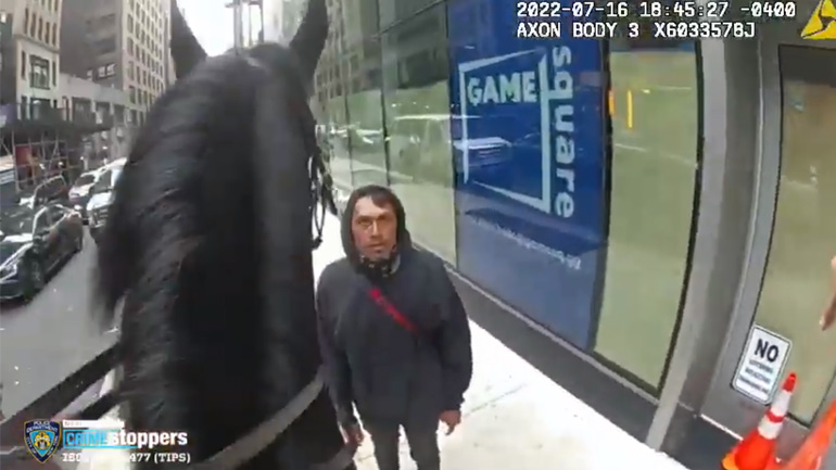 Έφιππος αστυνομικός καταδιώκει έναν κλέφτη στη Νέα Υόρκη