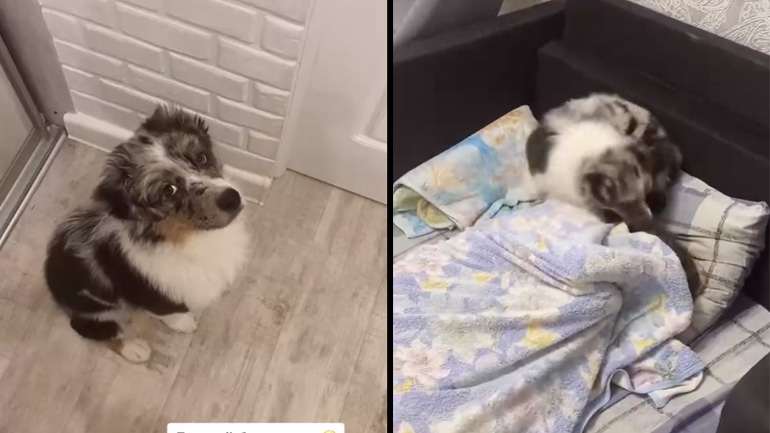 Το πιο όμορφο ξυπνητήρι