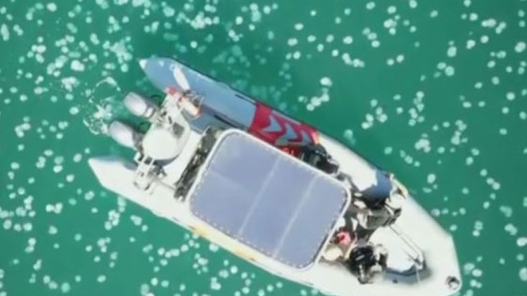 Αν νομίζετε ότι έχουμε εδώ πρόβλημα με τις μέδουσες, δείτε τι γίνεται στο Ισραήλ