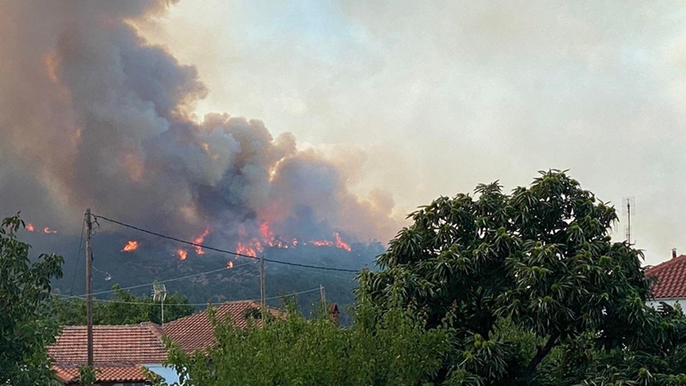 Μάχη με τις φλόγες στον Έβρο για να σωθεί το δάσος της Δαδιάς
