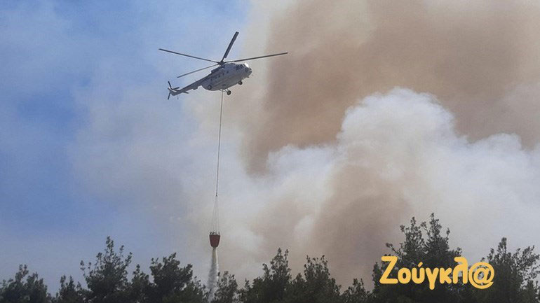 Τρίτη ημέρα καταστροφής στο δάσος της Δαδιάς – «Εξαιρετικά δύσκολη πυρκαγιά» λέει η Πυροσβεστική