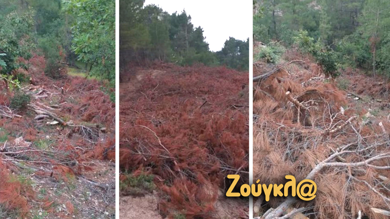 Η απόγνωση του Πυροσβέστη