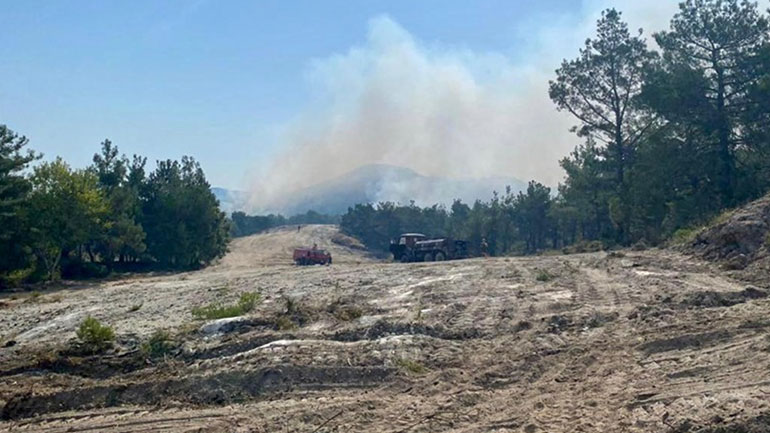 Δάσος της Δαδιάς: Αναπροσαρμόζεται το σχέδιο πυρόσβεσης μετά από τέσσερις ημέρες καταστροφής