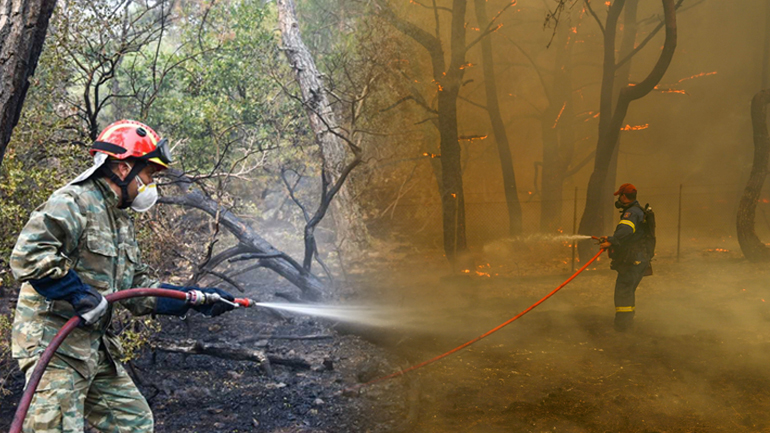 Ώρες αγωνίας για το εθνικό πάρκο της Δαδιάς στον Έβρο