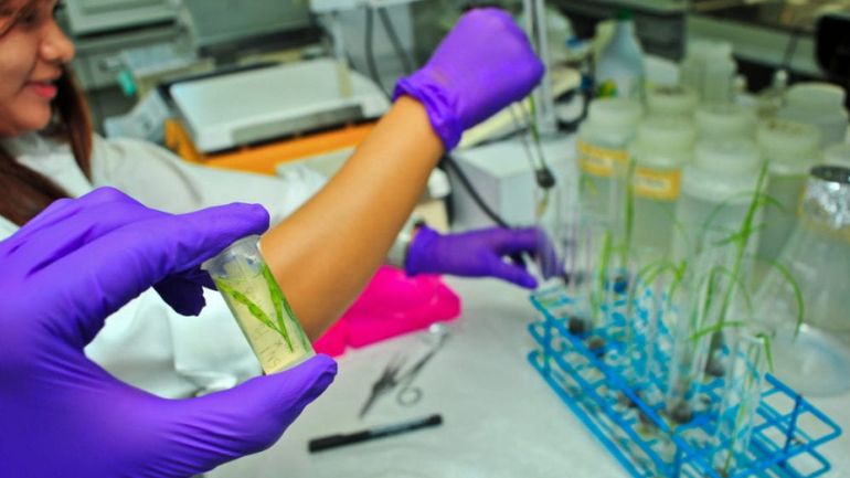 Ένα πολύτιμο εργαλείο για την καταπολέμηση των υπερμικροβίων βρέθηκε στο βάθος της ερήμου