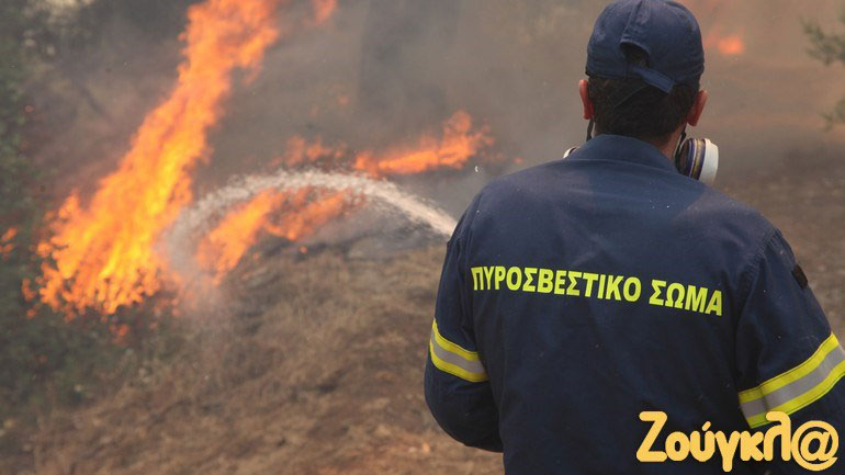 Ρέθυμνο: Οριοθετημένη χωρίς ενεργό μέτωπο η φωτιά  στην Αγία Γαλήνη
