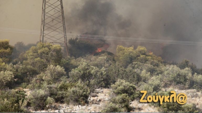 Δυο συλλήψεις για την φωτιά στη Μάνδρα