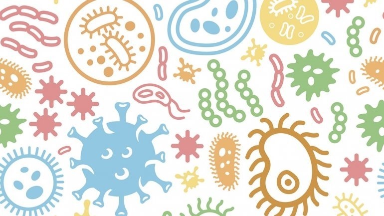 Τα παθογόνα κρύβονται στις υδραυλικές εγκαταστάσεις των σπιτιών και των νοσοκομείων