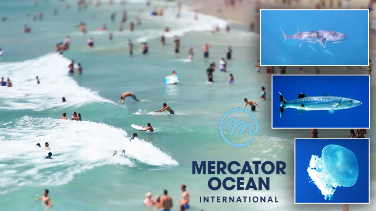 Οι καύσωνες αλλάζουν το θαλάσσιο οικοσύστημα στη Μεσόγειο