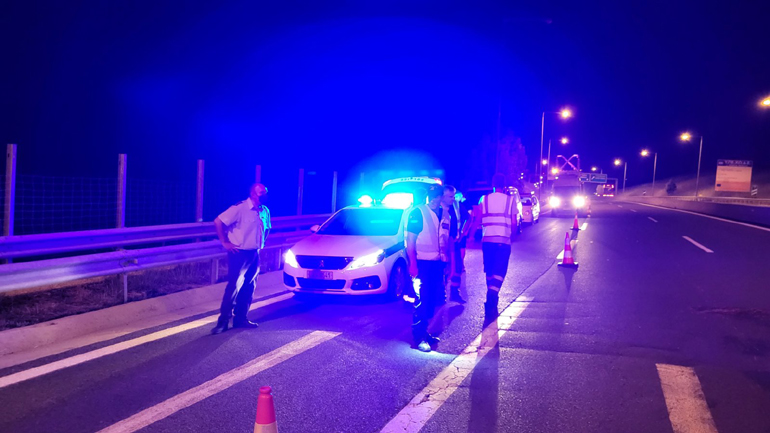 Γρεβενά: Αρκούδα συγκρούστηκε με διερχόμενο Ι.Χ. στην Εγνατία Οδό