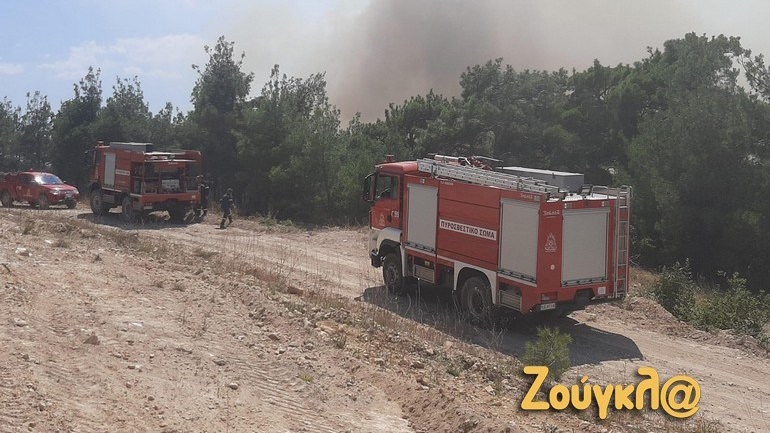 Δάσος της Δαδιάς: Οριοθετημένη η πυρκαγιά – Σε επιφυλακή η Πυροσβεστική