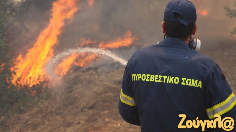 Φωτιά σε δασική έκταση στη Λίμνη Δασίου στο Ξυλόκαστρο