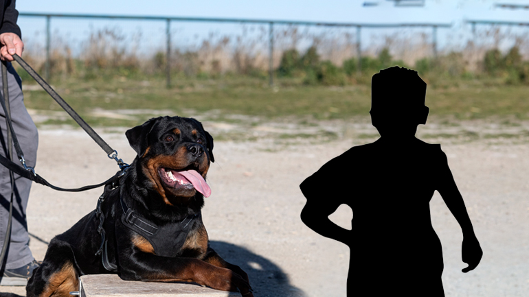 Μάχη για τη ζωή του δίνει ο 6χρονος που του επιτέθηκε ροτβάιλερ