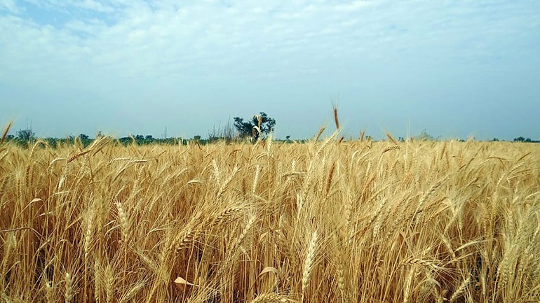 Την Δευτέρα αναχωρεί το πρώτο πλοίο με σιτηρά από την Ουκρανία