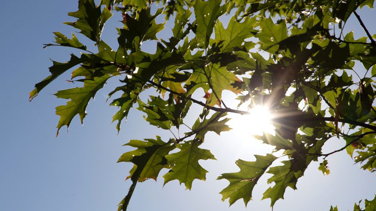 Ο καιρός σήμερα