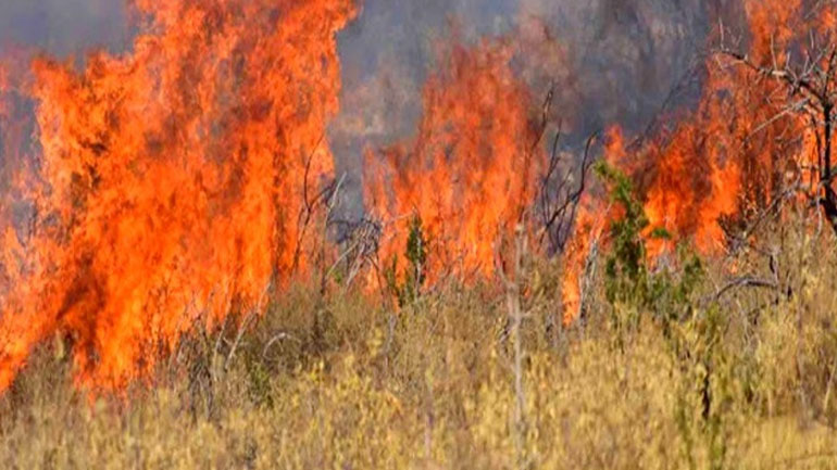 Πολύ υψηλός κίνδυνος πυρκαγιάς την Τετάρτη σε Αττική, Στερεά Ελλάδα και Βόρειο Αιγαίο