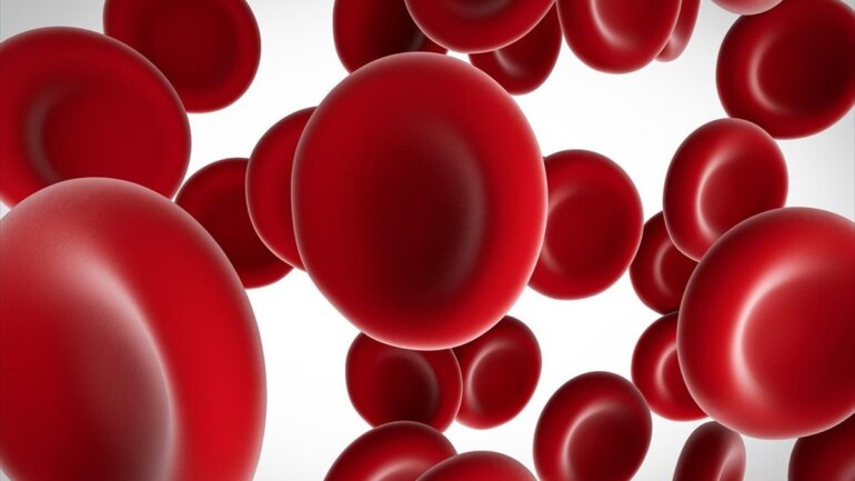 Η συσσώρευση σιδήρου στον εγκέφαλο συνδέεται με υψηλότερο κίνδυνο για κινητικές διαταραχές Η συσσώρευση σιδήρου στον εγκέφαλο συνδέεται με υψηλότερο κίνδυνο για κινητικές διαταραχές